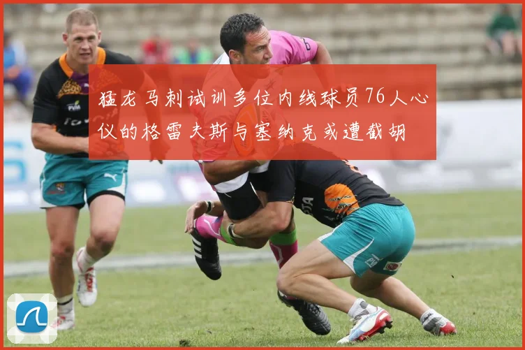 猛龙马刺试训多位内线球员76人心仪的格雷夫斯与塞纳克或遭截胡